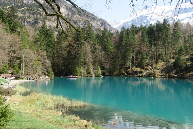 Blausee Switzerland12