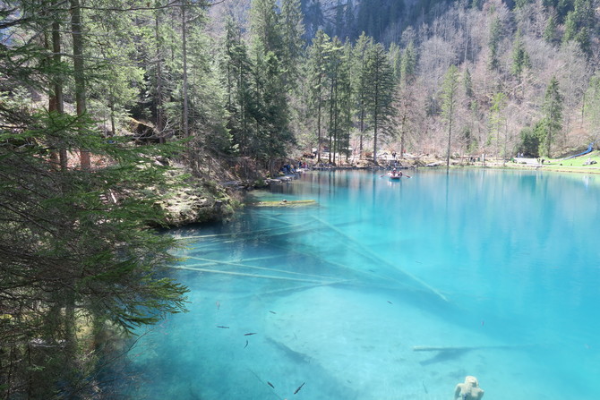 Blausee Switzerland18