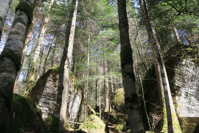 Blausee Switzerland7