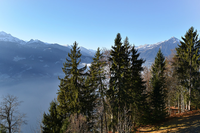 Berner Oberland4
